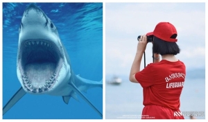 „მკვლელებად დაბადებულები“ - არის თუ არა შესაძლებელი ზვიგენისგან თავის დაღწევა