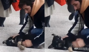VIDEO: ბიჭმა ძაღლი სიკვდილს გადაარჩინა - ემოციური კადრები
