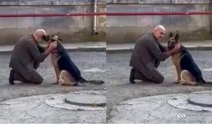 VIDEO: დავით ქაცარავამ დაკარგული ძაღლი იპოვა - ნახეთ ემოციური ვიდეო