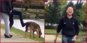 VIDEO: შემზარავი კადრები ბათუმიდან - მოზარდებმა ტბაში ძაღლი ჩააგდეს